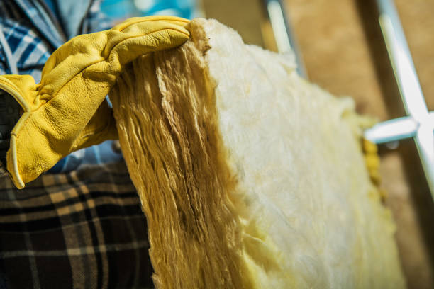 Best Insulation Replacement Services  in Cotter, AR
