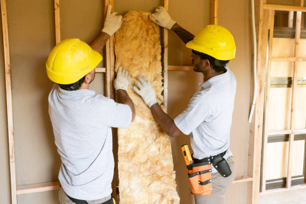 Best Insulation Removal  in Cotter, AR