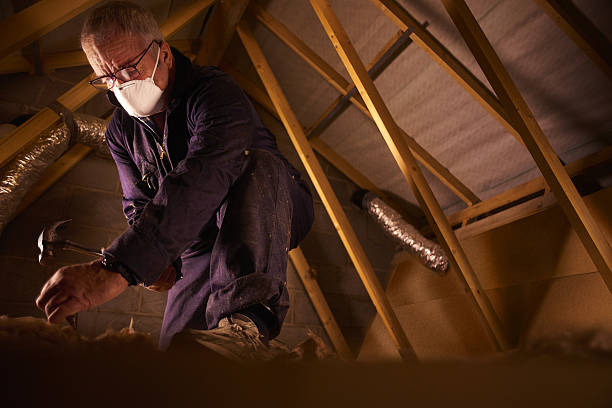 Best Attic Insulation Installation  in Cotter, AR